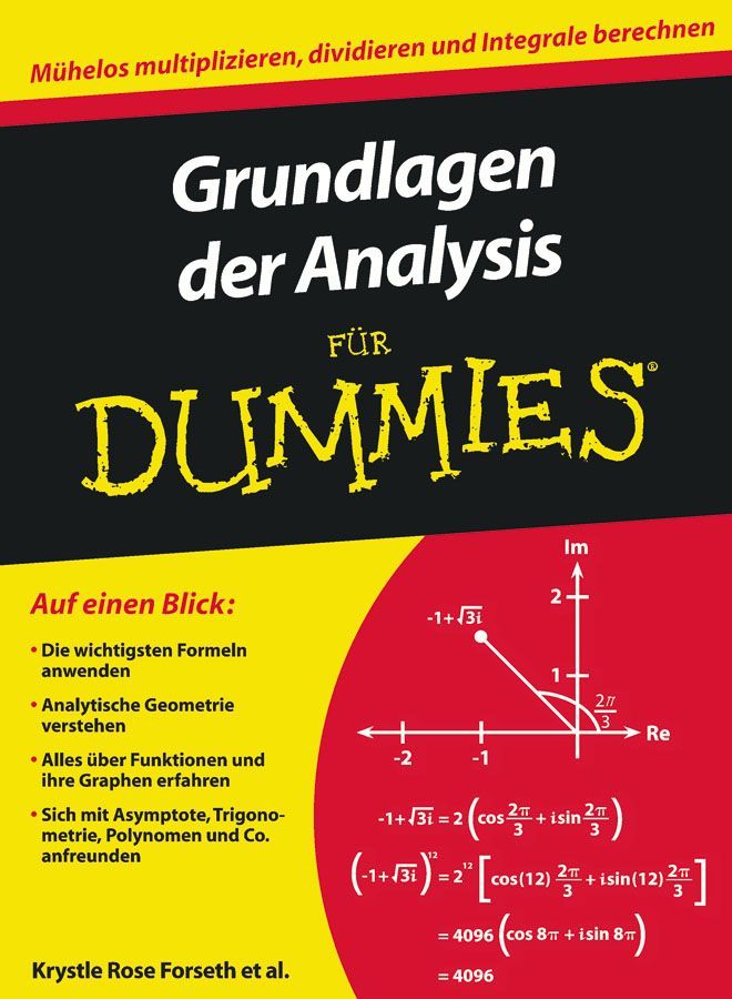 Grundlagen Der Analysis Für Dummies 9783527706419 (Paperback)