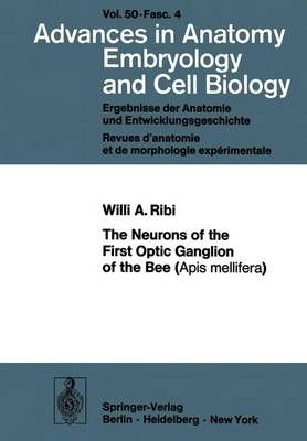 The Neurons of the First Optic Ganglion of the Bee (Apis Mellifera)