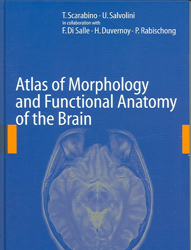 Atlas of Morphology and Functional Anatomy of the Brain 9783540296287