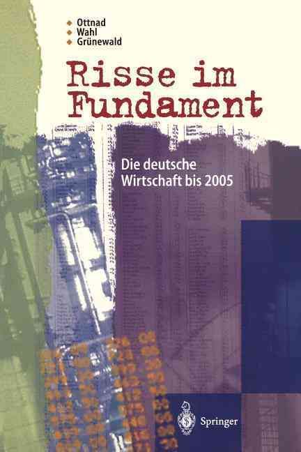 Risse Im Fundament 9783540603023 (Paperback)