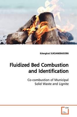 Fluidized Bed Combustion and Identification 9783639173154 (Paperback)