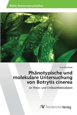 Phänotypische und molekulare Untersuchung von Botrytis cinerea