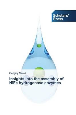 Insights into the assembly of NiFe hydrogenase enzymes 9783639669756