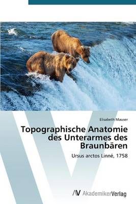 Topographische Anatomie des Unterarmes des Braunbaren 9783639721713