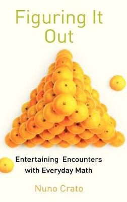 Figuring It Out By Nuno Crato 9783642048326 (Hardback)