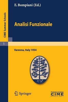 Analisi Funzionale By E Bompiani 9783642108792 (Paperback)