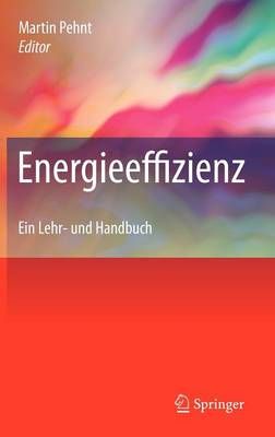 Energieeffizienz : Ein Lehr- und Handbuch By Pehnt, Martin (Hardback)