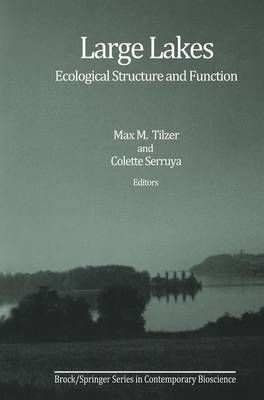 Large Lakes By Max M. Tilzer (editor), Colette Serruya (editor)