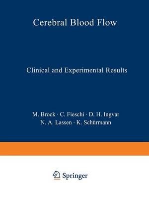 Cerebral Blood Flow 9783642858628 (Paperback)
