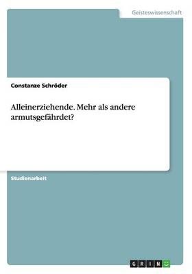 Alleinerziehende. Mehr als andere armutsgefahrdet? 9783656745822