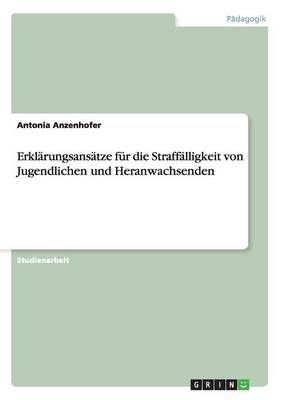 Erklarungsansatze fur die Straffalligkeit von Jugendlichen und Heranwachsenden