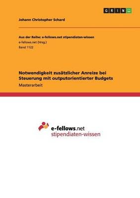 Notwendigkeit zusatzlicher Anreize bei Steuerung mit outputorientierter Budgets