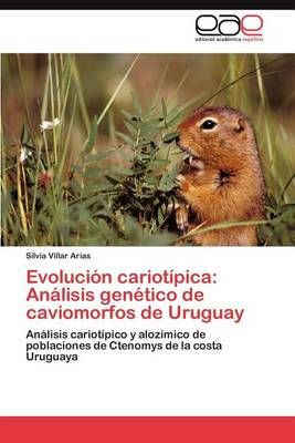 Evolucion Cariotipica By Silvia Villar Arias 9783659012587 (Paperback)