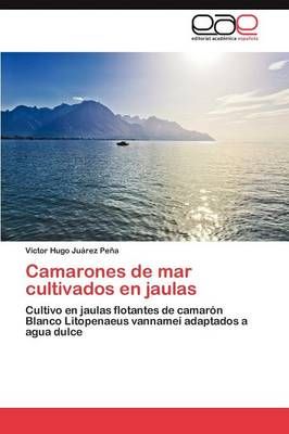 Camarones de Mar Cultivados En Jaulas By V Ctor Hugo Ju Rez Pe a