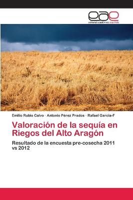 Valoracion de la sequia en Riegos del Alto Aragon 9783659058790