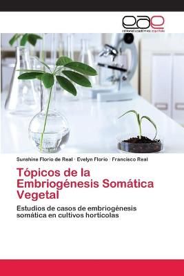 Topicos de la Embriogenesis Somatica Vegetal 9783659078668 (Paperback)