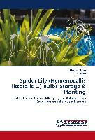 Spider Lily (Hymenocallis littoralis L.) Bulbs Storage & Planting