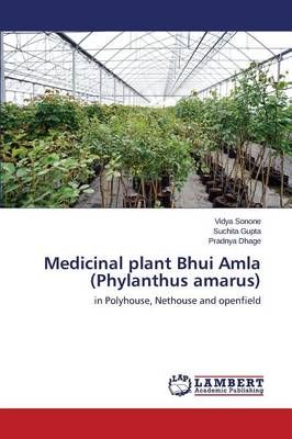 Medicinal plant Bhui Amla (Phylanthus amarus) By Sonone Vidya
