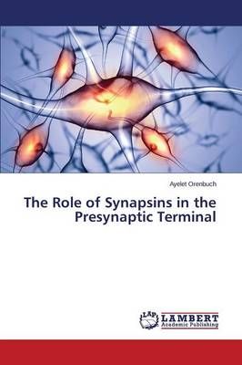 The Role of Synapsins in the Presynaptic Terminal By Orenbuch Ayelet
