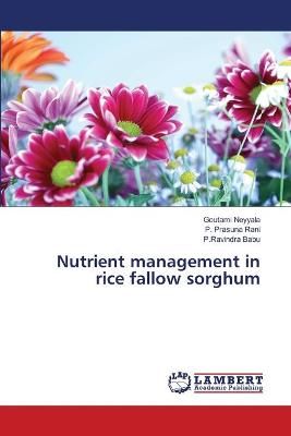 Nutrient management in rice fallow sorghum By Goutami Neyyala