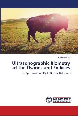 Ultrasonographic Biometry of the Ovaries and Follicles By Yousaf
