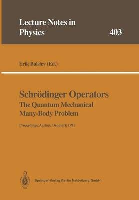 Schrodinger Operators the Quantum Mechanical Many-Body Problem: Proceedings of a Workshop Held at Aarhus, Denmark 15 May - 1 August 1991