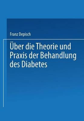 Über Die Theorie Und Praxis Der Behandlung Des Diabetes 9783662313152