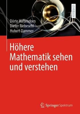 Höhere Mathematik sehen und verstehen By Dörte Haftendorn