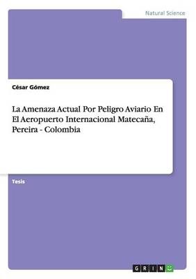 La Amenaza Actual Por Peligro Aviario En El Aeropuerto Internacional Matecana, Pereira - Colombia