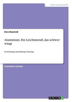 Aluminium. Ein Leichtmetall, das schwer wiegt By Esra Bozcicek