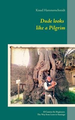 Dude looks like a Pilgrim By Knud Hammerschmidt 9783738608281