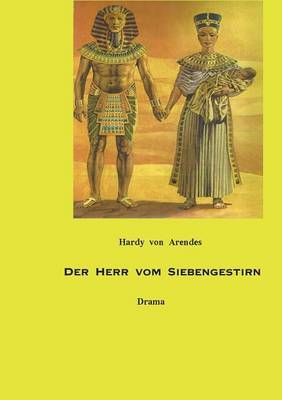 Der Herr vom Siebengestirn By Hardy Von Arendes 9783738654158