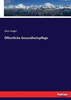 OEffentliche Gesundheitspflege By Alois Geigel 9783743354760
