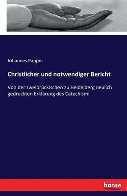 Christlicher und notwendiger Bericht By Johannes Pappus 9783743604186