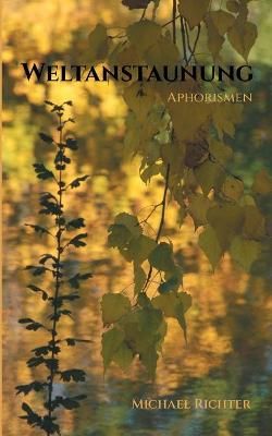 Weltanstaunung:Aphorismen By Richter, Michael 9783753454757