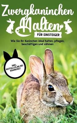 Zwergkaninchen halten für Einsteiger By Böhmer 9783753482873