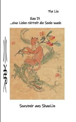 Xiao Di eine Liebe rüttelt die Seele wach By Liu 9783754300640
