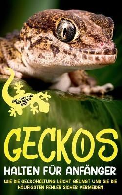 Geckos halten fur Anfanger By Saskia Meydorn 9783755742920 (Paperback)