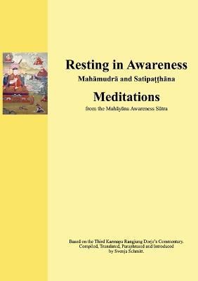 Resting in Awareness By Schmitt 9783756220021 (Paperback)