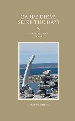 Carpe Diem! Seize the day! By Von Borthwick 9783756221400 (Paperback)