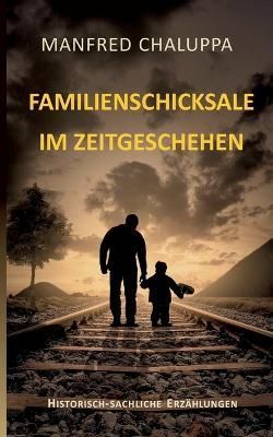 Familienschicksale im Zeitgeschehen By Chaluppa 9783756813933