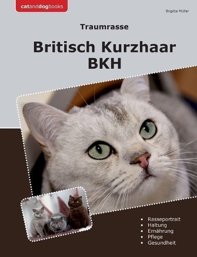 Traumrasse Britisch Kurzhaar By Brigitte Müller 9783758366123