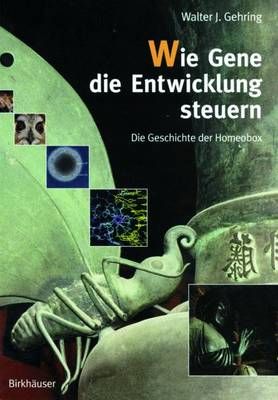 Wie Gene Die Entwicklung Steuern By Walter J. Gehring 9783764360399