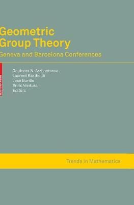 Geometric Group Theory 9783764384111 (Hardback)