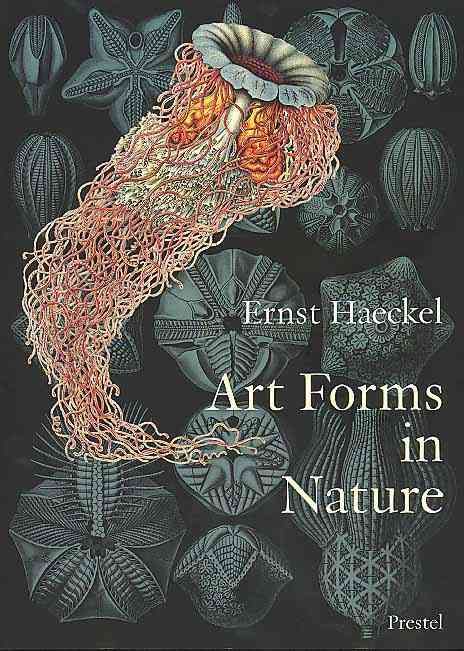 Art Forms in Nature By Olaf Breidbach 9783791319902 (Paperback)