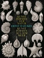 Ernst Haeckel By Breidbach, Olaf 9783791346601 (Hardback)