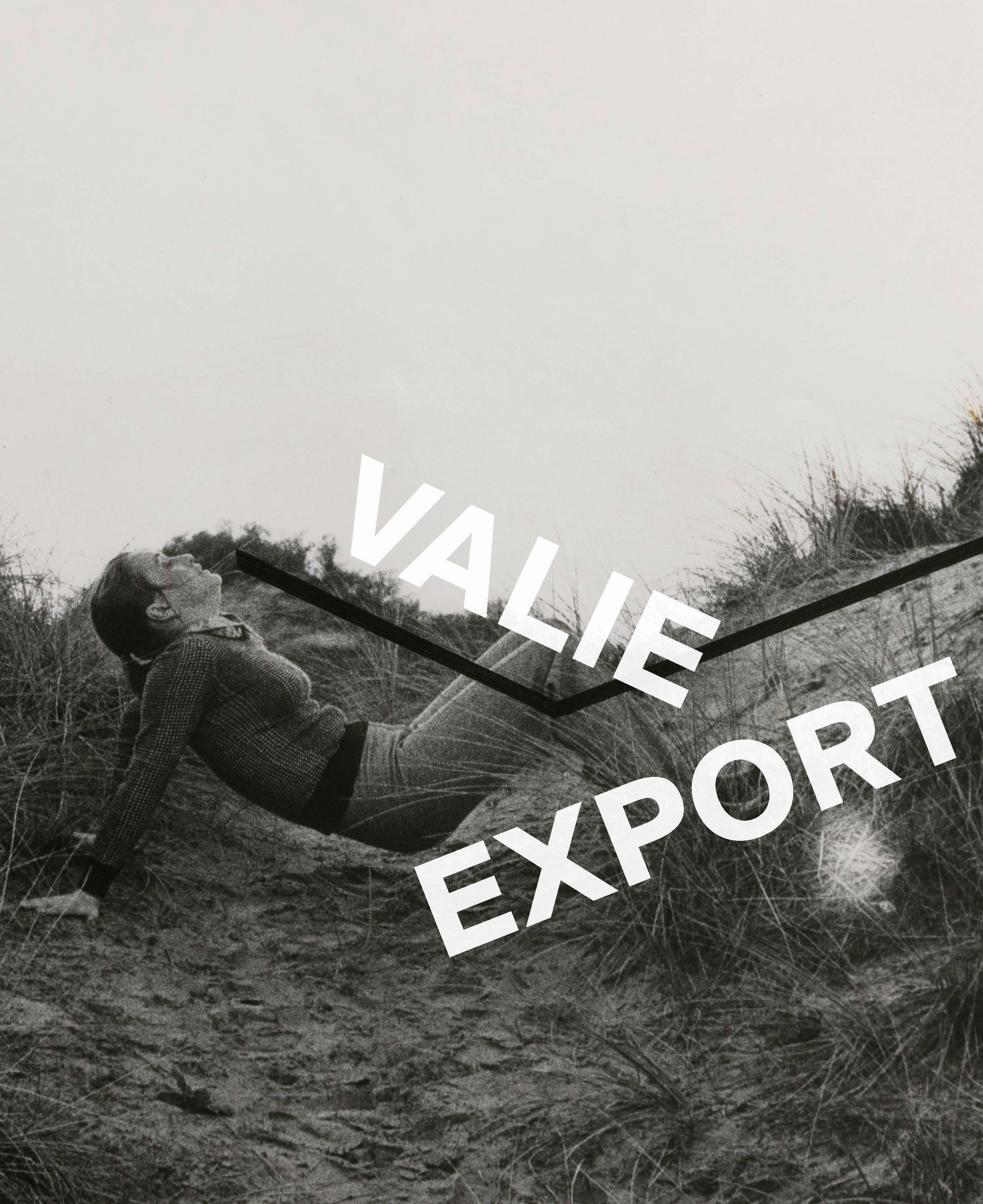 Valie Export By Walter Moser 9783791379623 (Paperback)