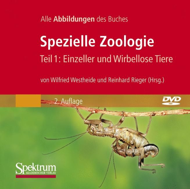 Spezielle Zoologie. Teil 1: Einzeller Und Wirbellose Tiere (DVD video)