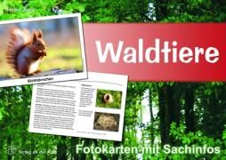 Waldtiere - Fotokarten mit Sachinfos By Jung, Heike 9783834604323