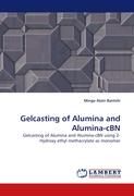Gelcasting of Alumina and Alumina-cBN By Bantshi, Minga Alain